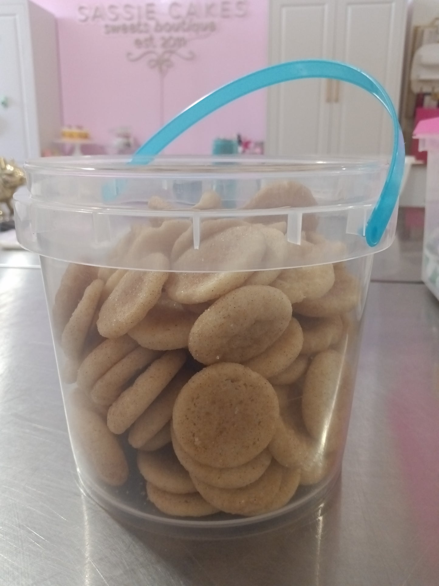 Pride Bucket of SniQueerDoodles 100ct $45 *snickerdoodle cookies*