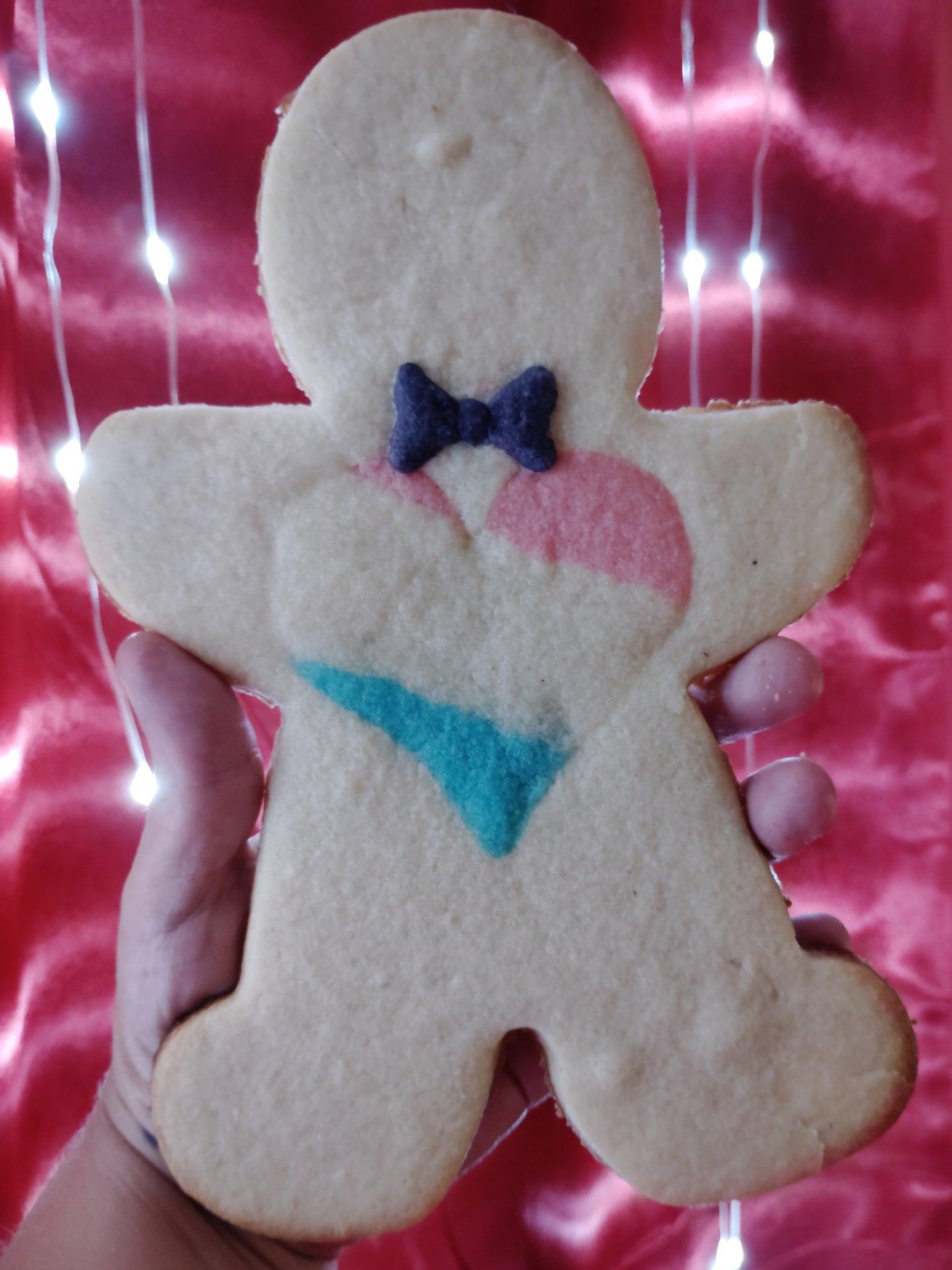 Pride Inside Cookies - Humans - 8" x 6" $10/ea